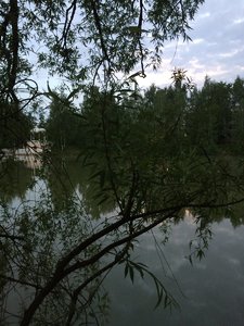 IMG_4814.JPG