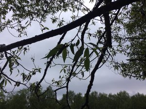 IMG_4657.JPG