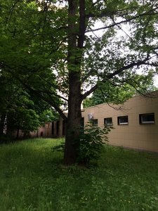 IMG_4766.JPG