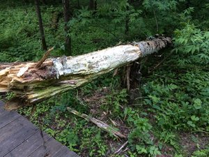 IMG_4721.JPG