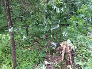 IMG_4738.JPG