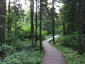 IMG_4732.JPG