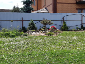 20210614_124914.jpg