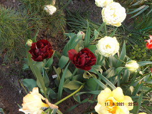 2021.06.11 Уч № 1  _ DSCF3106.JPG