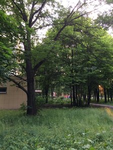 IMG_4986.JPG