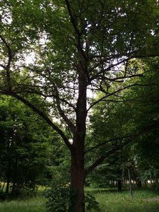 IMG_4993.JPG