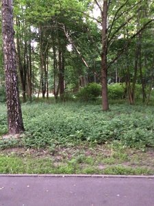 IMG_5004.JPG
