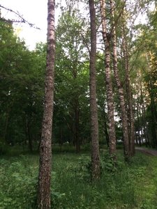 IMG_5014.JPG