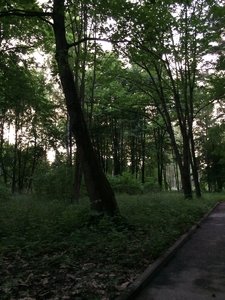 IMG_5028.JPG