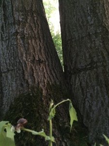 IMG_5047.JPG