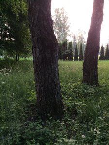 IMG_5037.JPG