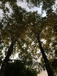 IMG_5024.JPG