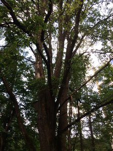 IMG_4834.JPG