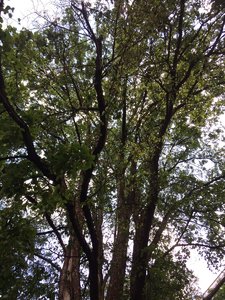 IMG_4836.JPG
