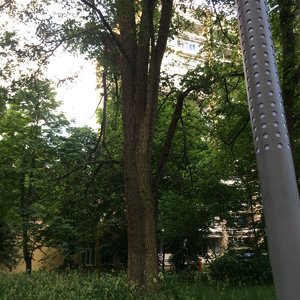 IMG_4857.JPG