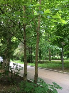 IMG_4968.JPG
