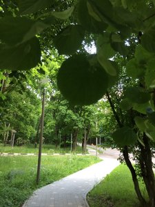 IMG_4888.JPG