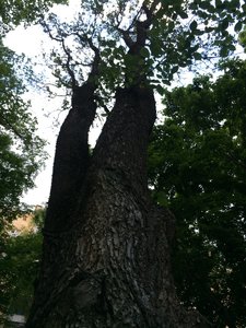 IMG_4901.JPG