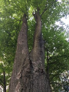 IMG_4904.JPG
