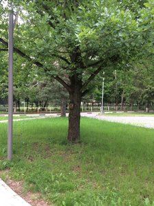 IMG_4912.JPG