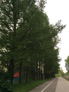 IMG_4934.JPG