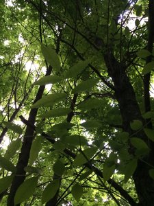 IMG_4983.JPG