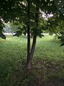 IMG_5020.JPG