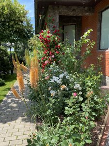 B570E9D9-819C-4979-AA62-EBE6B4C21C11.jpeg