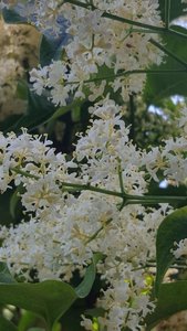 4DF349CA-F5A5-4223-BC69-3277D1D3C53E.jpeg