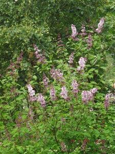 DSCF3412.JPG