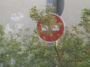 DSCF3436.JPG