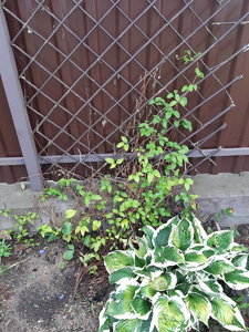 20210701_101401.jpg