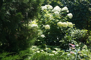 DSC00408.JPG