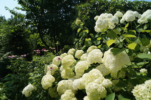 DSC00370.JPG