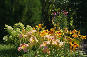 DSC00262.JPG