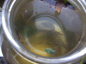 IMG_5312.JPG