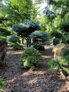 128EB62D-1873-46C7-91CF-09C57D8B4ACB.jpeg