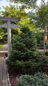 88D854DF-2B42-47FA-B92D-8ABF5236FC9C.jpeg