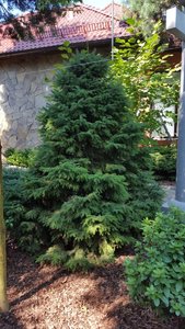 174F5A5B-3F5A-4ECE-BC4D-B3CF6539ED9E.jpeg