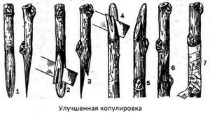 51630.pnn090.840.jpg