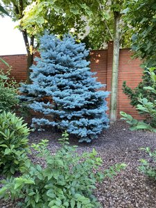 E1273043-B4AD-43C6-8D5F-8E561B94FA01.jpeg