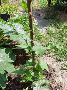 20210710_134036.jpg
