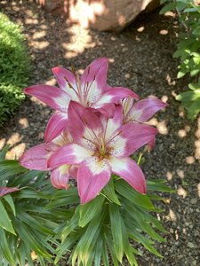 2ADCE142-1DF4-4D59-80E2-8DD5E481C394.jpeg