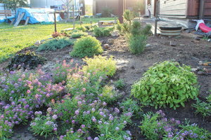 IMG_6246.JPG