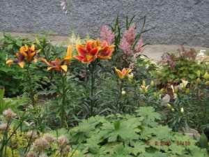 2020.09.09 Уч.№ 2 _ DSCF9310.JPG