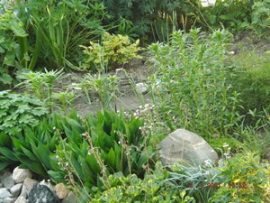 2021.07.03 _ DSCF3499.JPG