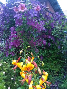 IMG_20210716_211233.jpg