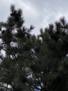 5464E9F5-3C6F-45E8-86B9-6ED6C2C05E27.jpeg