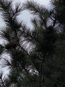 C916B08F-2CB4-401F-A934-FDCB4154CAF7.jpeg