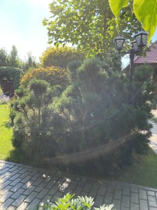 2C3EE81F-ED6E-4FC1-BB21-81FA6FCBB921.jpeg